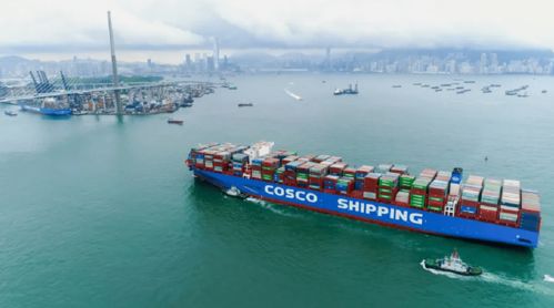 全流程 全覆盖 全天候 上海集运奥吉货运为内贸客户提供优质服务