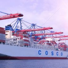 选择中国供应商及海运物流的全面指南